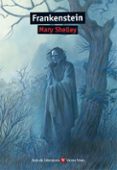 FRANKENSTEIN, ESO. MATERIAL AUXILIAR de SHELLEY, MARY TORRES OLIVER, FRANCISCO 