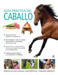 GUIA PRACTICA DEL CABALLO de GORDON-WATSON, MARY LYON, RUSSELL 