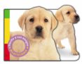 PERRITO Y SUS AMIGOS (DESCUBRE Y JUEGA) di VV.AA. 