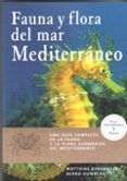 FAUNA Y FLORA DEL MAR MEDITERRANEO di BERGBAUER, MATTHIAS 
