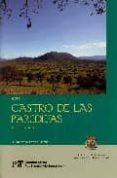 GUIA CASTRO DE LAS PAREDEJAS: MEDINILLA, AVILA (CUADERNOS DE PATR IMONIO ABULENSE N 7) de FABIAN GARCIA, J. FRANCISCO 