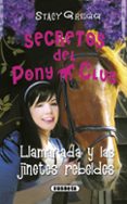 LLAMARADA Y LAS JINETES REBELDES de GREGG, STACY 