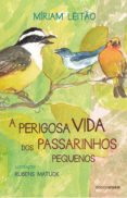 O Mistério Da Estrela: Stardust (ebook)