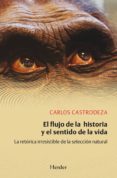 EL FLUJO DE LA HISTORIA Y EL SENTIDO DE LA VIDA de CASTRODEZA, CARLOS 