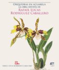 Orquídeas En Acuarela: La Obra Inédita De Rafael Lucas Rodríguez Cabal
