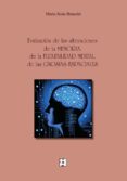EVALUACION DE LAS ALTERACIONES DE LA MEMORIA, DE LA FLEXIBILIDAD MENTAL, DE LAS GNOSIAS ESPACIALES. de BENEDET ALVAREZ, MARIA JESUS 