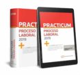 PRCTICUM PROCESO LABORAL 2019 de RIVAS VALLEJO, MARIA PILAR 