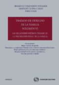 TRATADO DE DERECHO DE LA FAMILIA, VOL. 06: LAS RELACIONES PATERNO -FILIALES (II). LA PROTECCION PENAL DE LA FAMILIA de YZQUIERDO TOLSADA, MARIANO 