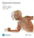 ANATOMIA HUMANA di MARTINI, FREDERIC 