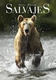 SALVAJES de BLOOM, STEVE 