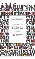 Lección De Poesía (ebook)