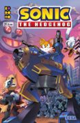 SONIC: THE HEDHEGOG N 21 de FLYNN, IAN 