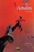 LAS LUCES DEL AMALOU 5: CENIZAS di GIBELIN, CHRISTOPHE  WENDLING, T. 