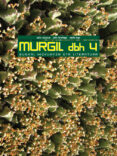 MURGIL DBH 4 di VV.AA. 