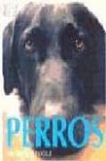 PERROS de FOGLE, BRUCE 