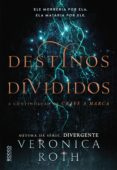 Destinos Divididos (ebook)