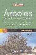 ARBOLES DE LA PENINSULA IBERICA: CARACTERISTICAS, IDENTIFICACION, LOCALIZACION di PASCUAL, RAMON 