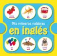 MIS PRIMERAS PALABRAS EN INGLES di VV.AA. 