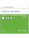 DERECHO DE DAOS de VERDERA SERVER, RAFAEL 