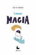 Llámalo Magia (ebook)