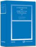 FUNDAMENTOS DEL DERECHO CIVIL PATRIMONIAL, VI de DIEZ PICAZO Y PONCE DE LEON, LUIS 