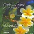 CARICIAS PARA EL CORAZON di ALDERMAN, RICHARD 