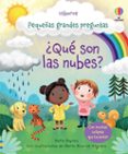 PEQUEAS GRANDES PREGUNTAS : QUE SON LAS NUBES de DAYNES, KATIE 