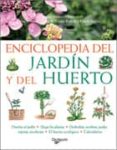 ENCICLOPEDIA DEL JARDIN Y DEL HUERTO di MAINARDI FAZIO, FAUSTA  BOFFELLI, ENRICA 