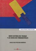 BREVE HISTORIA DEL TRABAJO Y LOS DERECHOS FUNDAMENTALES de PRECIADO DOMENECH, CARLOS HUGO 