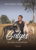 GALGOS, UNA PASION INCONTROLABLE de GOMEZ PRIETO, JUAN CARLOS 