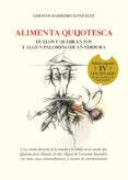 ALIMENTA QUIJOTESCA (ED. ESPECIAL IV CENTENARIO) di BARREIRO GONZALEZ, GERMAN 