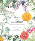 Plantas De La Alhambra Por Vv.Aa., Tapa Dura