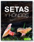 SETAS Y HONGOS di VV.AA. 