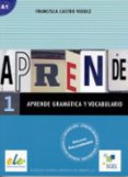 APRENDE GRAMATICA Y VOCABULARIO 1 de CASTRO VIUDEZ, FRANCISCA 
