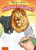 DIBUJO Y PINTO ANIMALES SALVAJES di BEAUDENON, THIERRY 