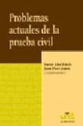 PROBLEMAS ACTUALES DE LA PRUEBA CIVIL de LLUCH, XAVIER ABEL  PICO I JUNOY, JOAN 