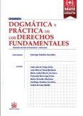DOGMTICA Y PRCTICA DE LOS DERECHOS FUNDAMENTALES 2 EDICIN 201 5 de SANCHEZ GONZALEZ, SANTIAGO 