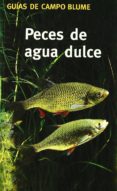 (PE) PECES DE AGUA DULCE: COMO RECONOCERLOS Y DETERMINARLOS de STEINBACH, GUNTER 