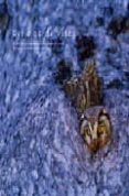 REFLEJOS DE VIDA: EL LIBRO DE LOS FOTOGRAFOS DE NATURALEZA DE ARA GON di VV.AA. 