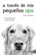 A TRAVES DE MIS PEQUEOS OJOS (8 ED.) de ORTIZ, EMILIO 