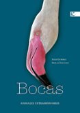 BOCAS : ANIMALES EXTRAORDINARIOS de GUTIERREZ , XULIO 