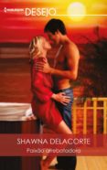 Paixão Arrebatadora (ebook)
