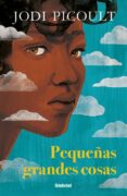PEQUEAS GRANDES COSAS di PICOULT, JODI 