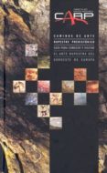 CAMINOS DE ARTE RUPESTRE PREHISTORICO: GUIA PARA CONOCER Y VISITA R EL ARTE RUPESTRE DEL SUDOESTE EUROPA di VV.AA. 