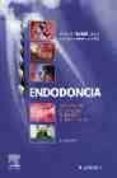 ENDODONCIA (2 ED.) di CANALDA, C  BRAU, E. 