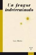 UN FRAGOR INDETERMINADO di MUIZ, LUIS 