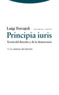 PRINCIPIA IURIS (VOL. 3): LA SINTAXIS DEL DERECHO: TEORIA DEL DER ECHO Y DE LA DEMOCRACIA de FERRAJOLI, LUIGI 
