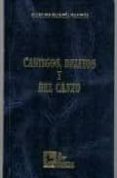 CASTIGOS, DELITOS Y BEL CANTO de GARCIA VALDES, CARLOS 