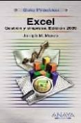 EXCEL: GESTION Y EMPRESA (ED. 2009) (GUIA PRACTICA) de MANZO, JOSEPH M. 