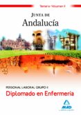 DIPLOMADO EN ENFERMERIA PERSONAL LABORAL GRUPO II DE LA JUNTA DE ANDALUCIA: TEMARIO. VOLUMEN II di VV.AA. 